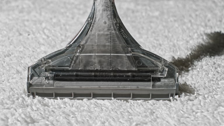 Area Rug Cleaning Scottsdale Skilled Technicians, Spotless Results